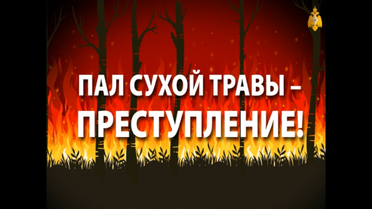 МЧС предупреждает: пал сухой травы опасен для людей, природы и имущества.